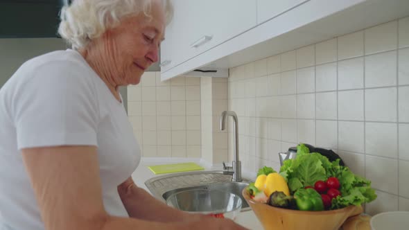 Senior Woman Making Salad in Kitchen