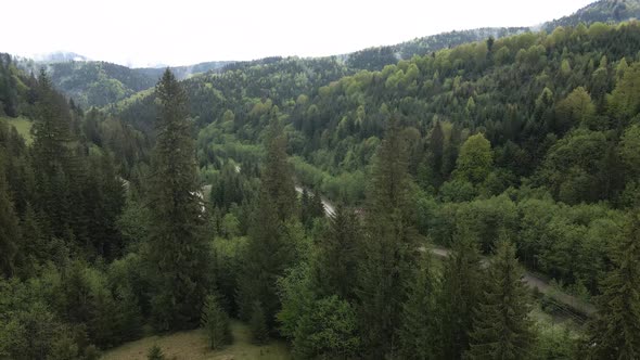 Ukraine, Carpathian Mountains: Beautiful Mountain Forest Landscape. Aerial