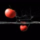 Tomatos Water Splash - VideoHive Item for Sale