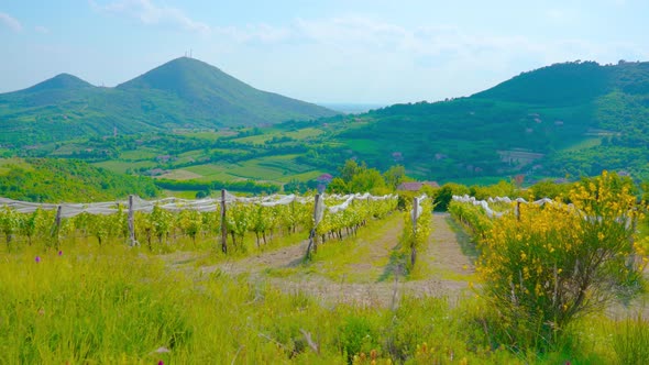 Beautiful Green Landscape in the Italian Nature