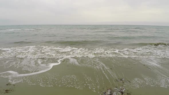 Waves Reaching Shore, Beautiful Aerial View on Beach Polluted With Seaweed