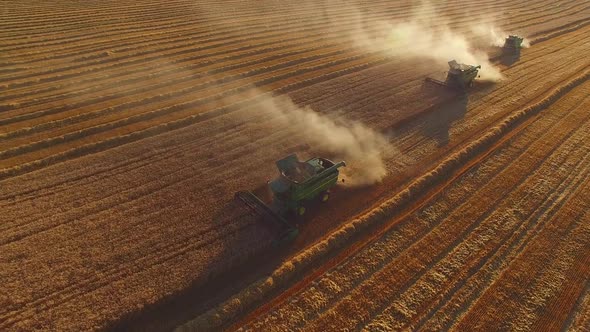 Field with Combines, Aerial View.