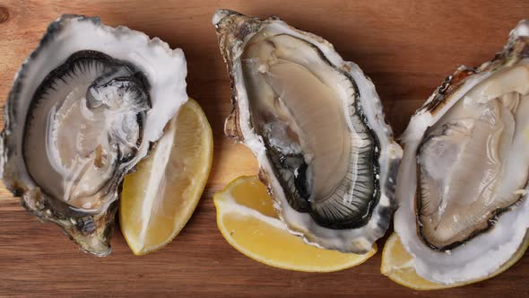 Fresh Oysters 17