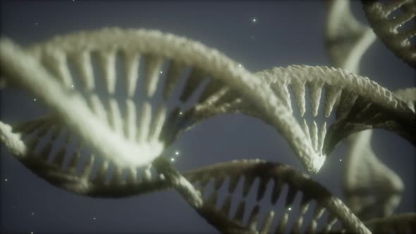 Double Helical Structure of Dna Strand Close-up Animation alt