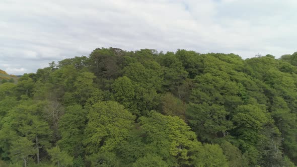 Rising aerial shot over tree canopy in wooded area near Oban, Scotland on an overcast day