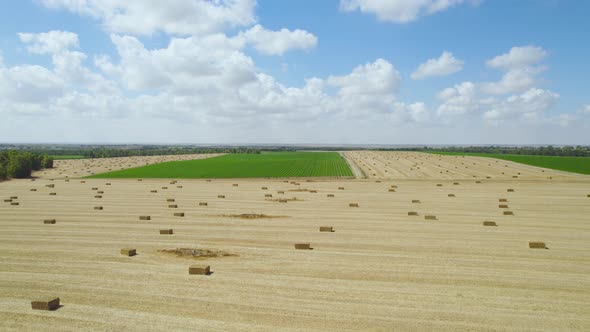 Straw Field at Alumin Sdot negev , Israel