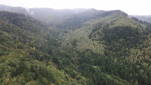 Aerial View of the Carpathian Mountains in Autumn. Ukraine