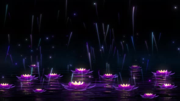 Lotus Particles Rise On The Lake At Night
