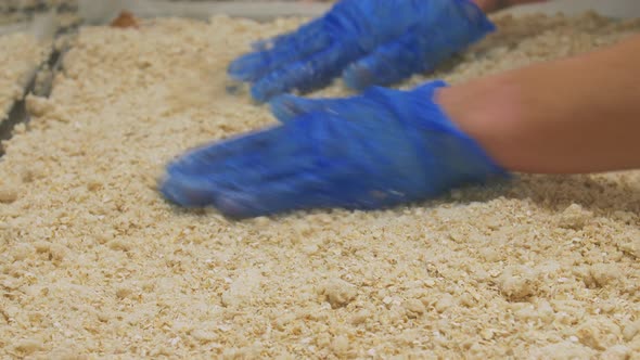 A worker distribute crumble mix over a large tray using a rolling pin.