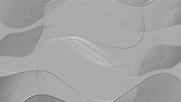 Abstract White Color Shape Line Wave Animated Background