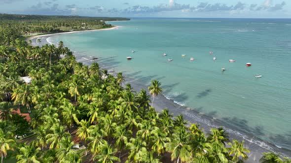 Northeast Brazil. Sao Miguel dos Milagres Beach at Alagoas Brazil.