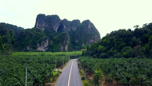 Aerial Shot of People Driving Motorbikes on a Road Krabi Thailand