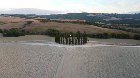 Tuscan Cypress Trees in Val d'Orcia Tuscany Aerial View