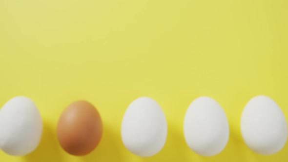 Video of row of one brown and four white eggs with copy space on yellow background