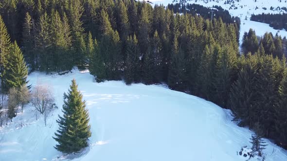 Aerial Winter Scene of Alpine Snowy Mountain Peaks and Dark Spruce Forest in Snow