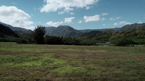 A small white bird flies across a beautiful panoramic scene of mountains, North Shore Kauai, aerial