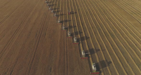 High angle view of combines harvesting