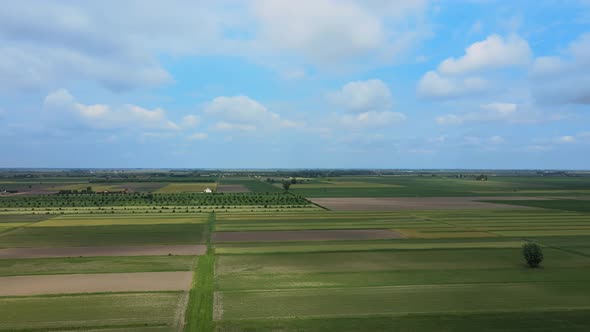 Green fields with clouds