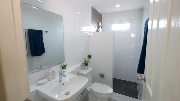 Clean and White Toilet with Shower Area