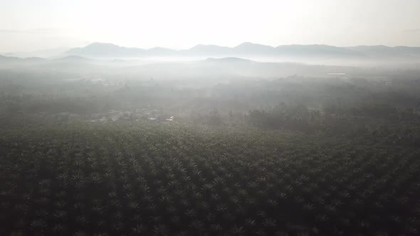 Malays village inside the oil palm plantation