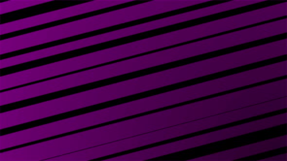 Purple Line Bg