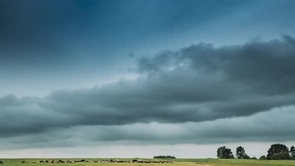 Timelapse Of Summer Rural Meadow Landscape Under Scenic Sky