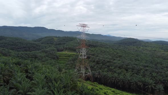 Aerial view electric tower near oil palm