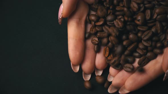 Coffee Beans are Hung Out of Female Hands