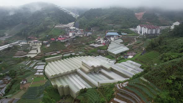 Cameron Highlands, Pahang Malaysia