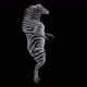 55 Zebra Dancing HD - VideoHive Item for Sale