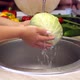 Closeup of Young Woman Washing Fresh Cabbage in Sink Under Running Water - VideoHive Item for Sale