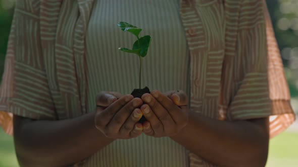 Close Up of Green Sprout with Ground in Female Hands