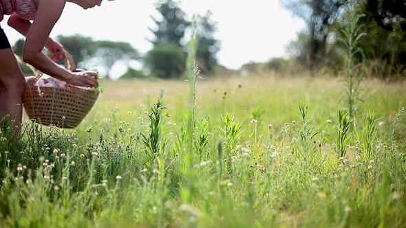 Woman collecting wildflowers and herbs growing in countryside