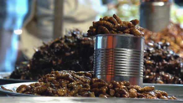 Picking Fried Insects off a Tray at the Night Market