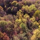 Drone Aerial of Beautiful Forest at Sunset - VideoHive Item for Sale