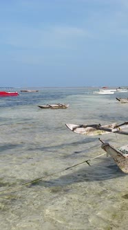 Tanzania  Vertical Video of Low Tide in the Ocean Near the Coast of Zanzibar Slow Motion