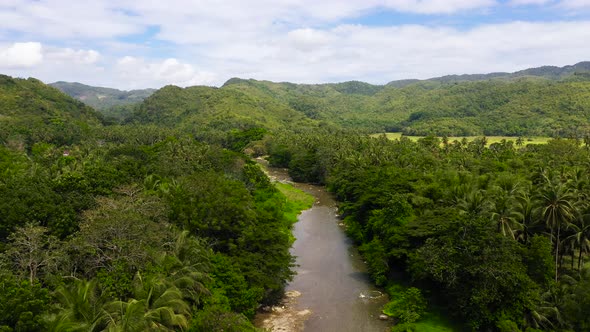 Mountain River on a Tropical Island Top View