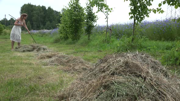 Young Farmer Woman in White Dress Rake Dry Grass Hay