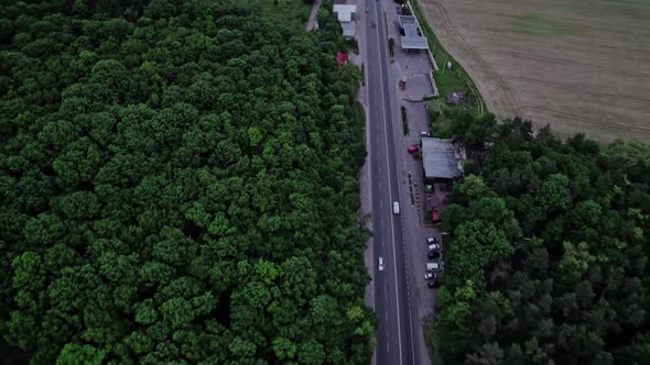 Aerial View Above Road in Forest