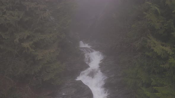 Water Creek in Canadian Nature with Green Trees During Foggy Winter Day