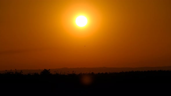 Sunset in the Sky Over Horizon Big Bright Yellow Sun Moves Down Above Forest