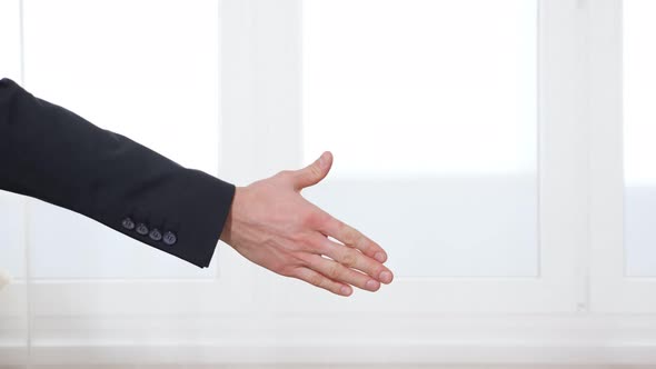 Man and Woman Seal Successful Deal with Handshake By Window