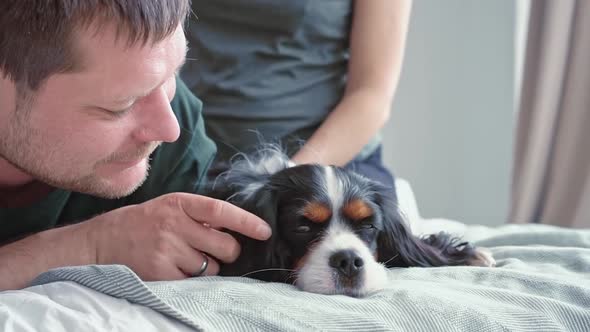 A Loving Couple of European Appearance Sits on a Bed in a Cozy Modern Room with Their Beloved Dog