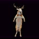 55 Deer Dancing 4K - VideoHive Item for Sale