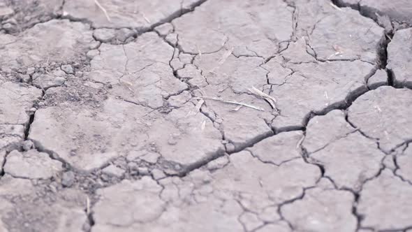 Dry Earth Ground with Cracks Texture