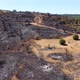 Aerial drone view of burned forest next to the road. Dark land and black trees caused by fire. - VideoHive Item for Sale