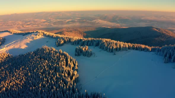 Golden Sun Light Touches Tree Tops on a Beautiful Sunny Morning. Aerial view of Winter Mountains