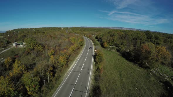 Aerial view of cars driving through the woods