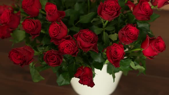 Red Roses 08