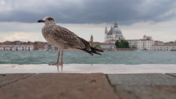 Venice, Italy 09